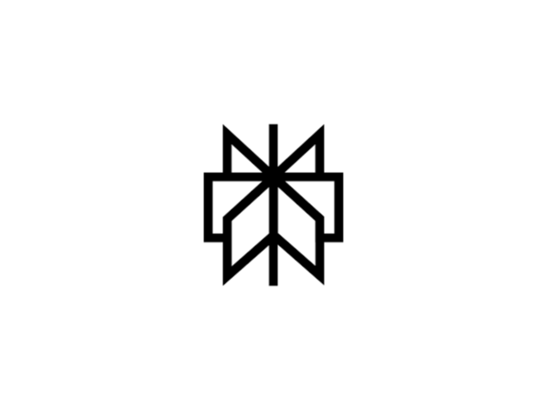 Обновление Perplexity Pro и Max на личный аккаунт